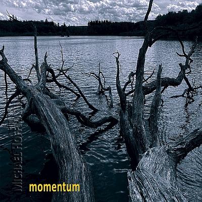 momentum